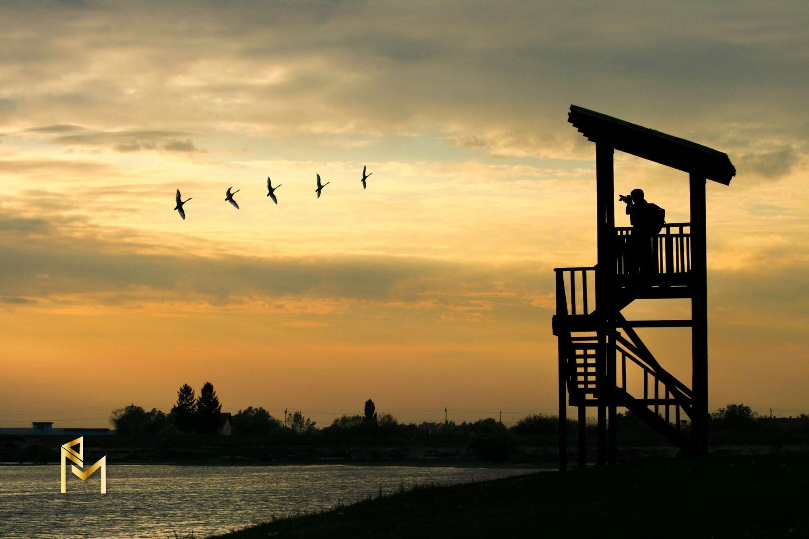 Birdwatching-Bliss