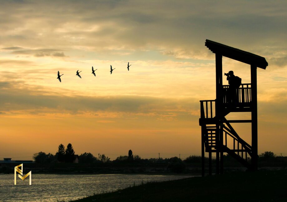 Birdwatching Bliss: Discovering Avian Wonders in Uvita’s Breathtaking Landscape