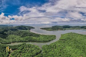 Sierpe-Humedal-Costa-Rica