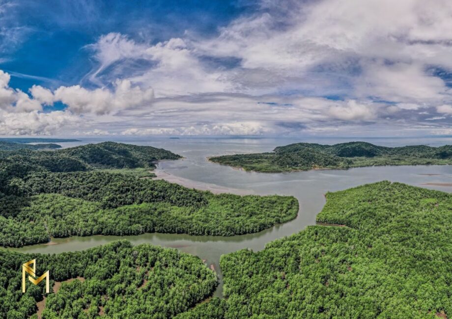 Exploring the Serene Beauty of Sierpe Humedal in Osa